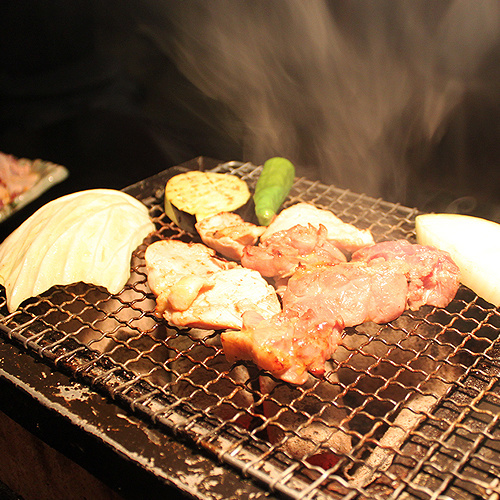 みやざき雉本舗　きじ肉商品