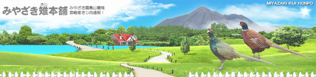 みやざき雉本舗　看板