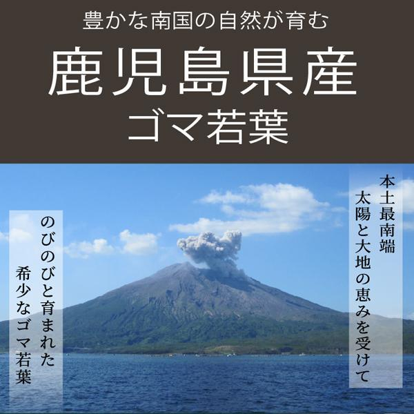 ゴマ若葉プラス青汁　説明